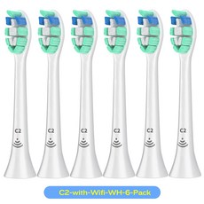 필립스칫솔모c2