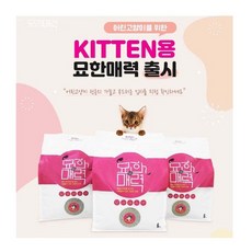 묘한매력