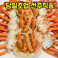 [선주직송] 이프로마켓 수제 동해안 대전