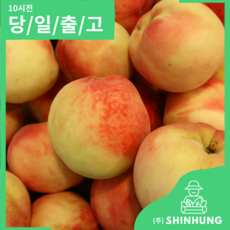 딱딱이복숭아 TOP01