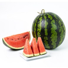 산지직송 안전포장 고당도 꿀수박, 1개, 5kg
