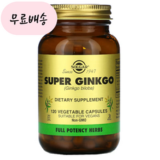 솔가 징코 빌로바 리프 익스트렉트 추출물 120베지캡슐 Solgar Ginkgo Biloba, 징코빌로바 은행 추출물 120베지캡슐, 2kg