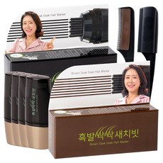 윤영미 흑발 싹싹 새치빗 사은품증정 a, 블랙(1+1)