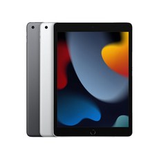 아이패드9세대256기가