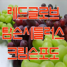 8938d34388517a4d1c32336031eb7a69ee610883b35b8647e63ba7d88222.jpg