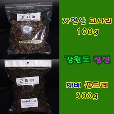 디스이즈 고사리볶음 (냉동), 500g, 부산