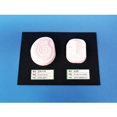 f65f4de38d7dae0af0c7c0ed13a373c940e27a2f48d5e4a5a6d72f28b99f.jpg
