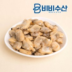 동죽조개살