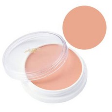 미쯔요시그리스페인트