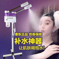 others 냉 열 분무기 미용 기 나 노 미터 수분 분무 원 기기 가정용 쌍 두 스팀 타월 패키지 더 블 튜브 분사, 상세페이지 참조