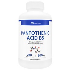 [미국번개배송] 신제품 착한명품 마이라이프 내추럴스 판토텐산 B5 500mg, 1개, 240정