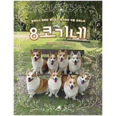 리틀포레스트디노