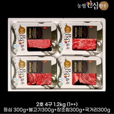 1++ 농협 안심 한우 선물 세트, 2호, 1개