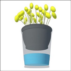 친환경콩나물키우기1인용