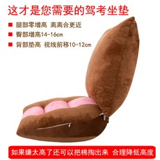 강아지방석 운전면허시험 시트 자전거 카고 운전 키높이 두꺼운 과목 전용 가을겨울 매직기기 여름, C05-커피+핑크