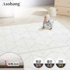 아소방1+1
