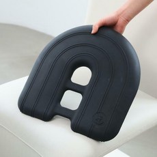 다노밸런스쿠션