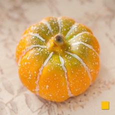 호박모형