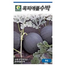 흑피애플수박씨 5립 애플수박씨 수박 과채씨앗 종자 다농 식물나라스토어 사은품약수저, 1개