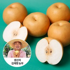 신선연구소나주산지직송나주배5kg가정용6-10과