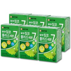 일양약품 징코플러스 혈행 기억력 은행잎추출물 나토키나제, 30정, 6개