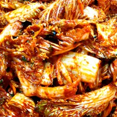 국내산 당일생산 시원한 전라도 배추 겉절이, 1개, 1kg