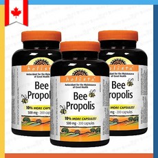 홀리데이즈프로폴리스
 [3개세트] 홀리스타 비 프로폴리스 500mg 200 캡슐 Holista bee propolis 3개