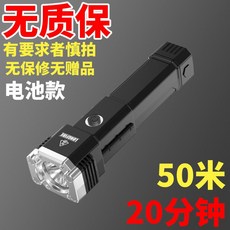 자가발전망치