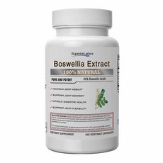 (미국직배) Superior Labs 보스웰리아 추출물 240정 Boswellia Extract - Pure NonGMO Boswellic, 1개