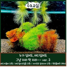 레드밀리오필름