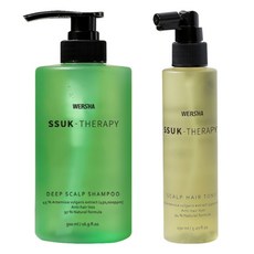 워샤 쑥테라피 딥스칼프 샴푸 + 스칼프 헤어 토닉, 워샤 쑥테라피 딥스칼프 샴푸 500ml + 스칼프 헤어 토닉 150ml