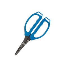 무늬오징어시메가위