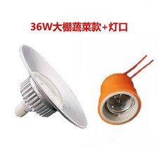 퓨쳐그린식물등