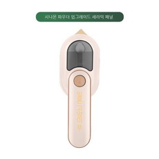 클래파스팀다리미