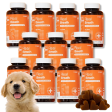  강아지 호흡기 기관지 건강 영양제 반려견 호흡곤란 기침 켁켁거림 기관지질환 면역력 향상 펫생각 리얼브레스 미니 휴먼그레이드 간식, 10개 