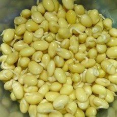 호호중국식품중국콩싹 500g 중국콩나물 또야 콩나물콩 노란콩싹. 황떠우야, 1개