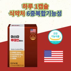 누글사