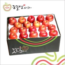 [장길영사과] 사과 중과 10kg(33~39과), 없음, 상세설명 참조