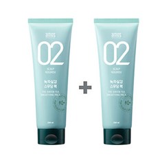 [1+1]아모스 녹차실감 스무딩팩 250ml 1set, 2개