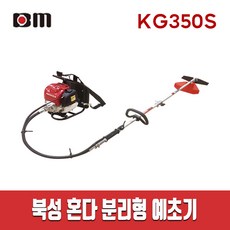 다보예초기