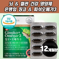 치매예방약