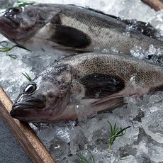 춘백이수산 급냉 손질우럭500g(2미), 1개, 단품