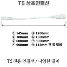 영원라이팅