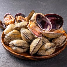 국내산 제철 활 모듬 조개 세트 2.2kg 전복 소라 왕 가리비 대합 동죽 캠핑용 조개, 자연산 대합 1kg (10미내외), 1개