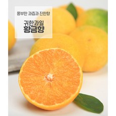 d55a43f32efbe5a70a6eecb1a4b9262ff40af50d77ff5de9eef086fe3f29.jpg