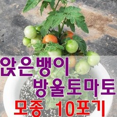 착한톡톡칡ㅂ