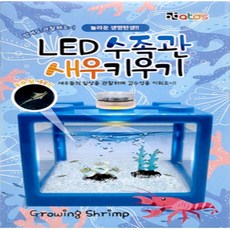 LED 수족관 새우키우기(랜덤) 바다새우키우기 새우키우기 씨몽키 풍년새우 체리새우 관상용새우 씨몽키키우기 생이새우 투구새우 투구새우키우기, 랜덤