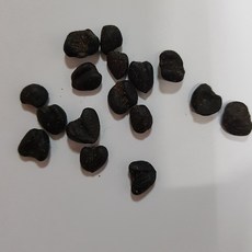37091f0dfeedd76971ecd5982a2a9c8c6ebb2ef8b044dd1202c3599c9551.jpg