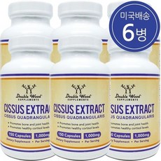 우드랜더더블뷰