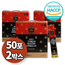 고려 6년근 홍삼정 에브리데이 홍삼 진액 스틱 100포, 10g, 2박스
